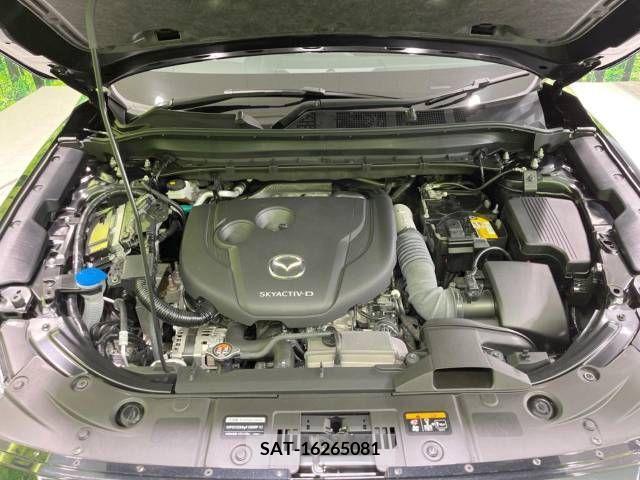 Mazda CX-5 2022-02 295937-18