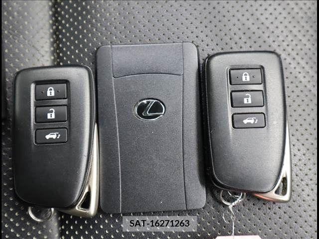 Lexus RX 2019-02 299712-15