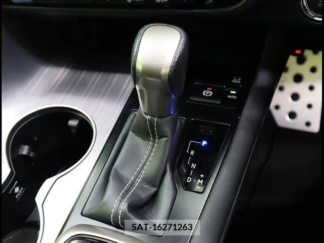 Lexus RX 2019-02 299712-13
