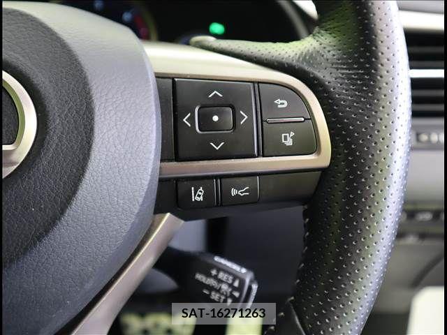 Lexus RX 2019-02 299712-9