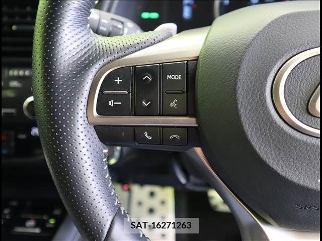 Lexus RX 2019-02 299712-8