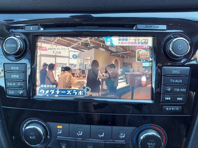 Nissan X-TRAIL 2020-07 19539-12