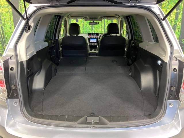 Subaru FORESTER 2016-05 189720-10