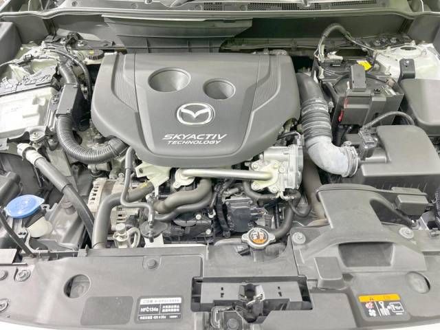 Mazda CX-3 2015-05 19363-18