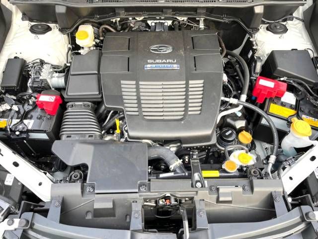 Subaru FORESTER 2022-09 196333-12