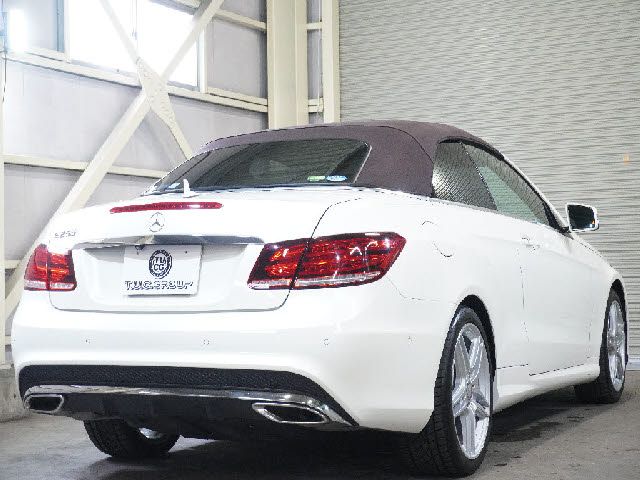 Mercedes Benz E-CLASS 2014-08 6342-1
