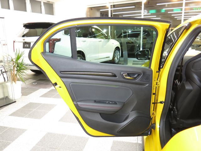 Renault MEGANE 2020-01 10387-26