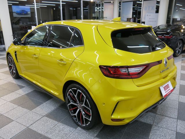 Renault MEGANE 2020-01 10387-7