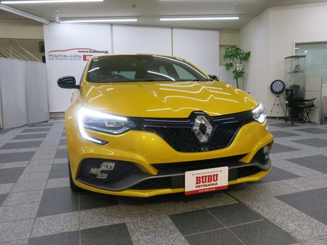 Renault MEGANE 2020-01 10387-29