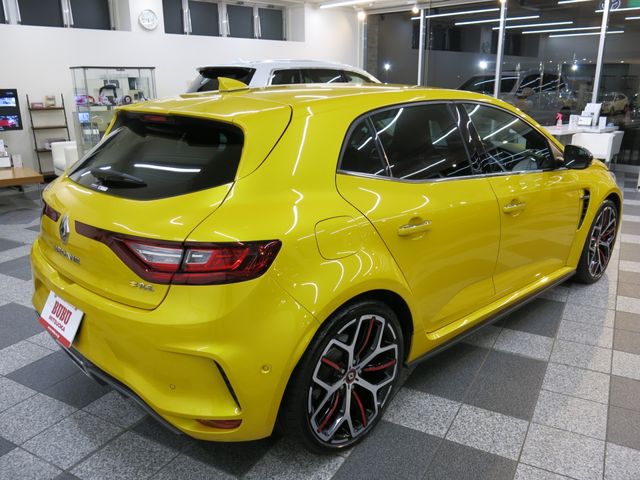Renault MEGANE 2020-01 10387-6