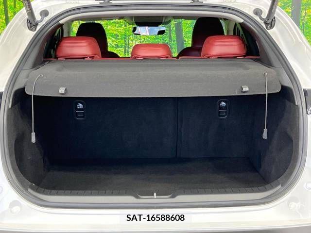 Mazda CX-30 2020-11 295574-10