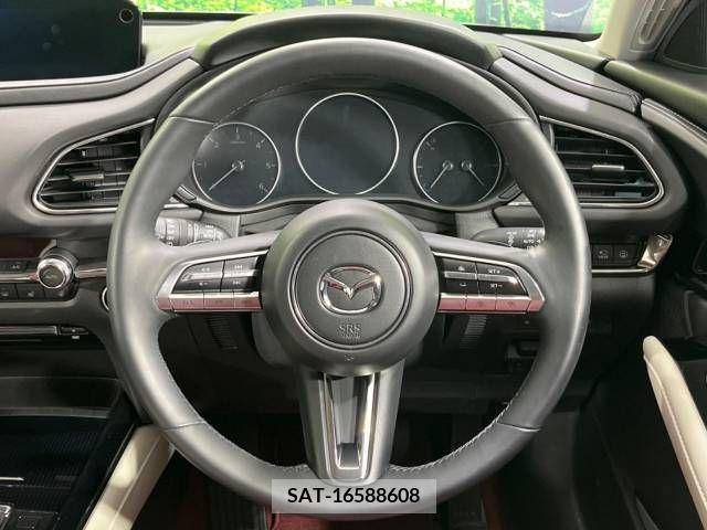 Mazda CX-30 2020-11 295574-11