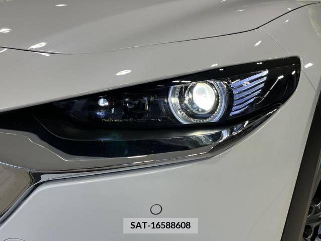 Mazda CX-30 2020-11 295574-12