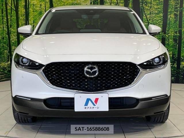 Mazda CX-30 2020-11 295574-14