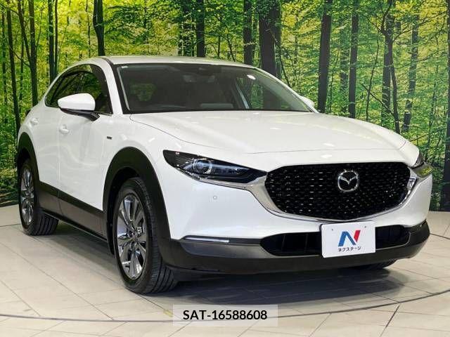 Mazda CX-30 2020-11 295574-16