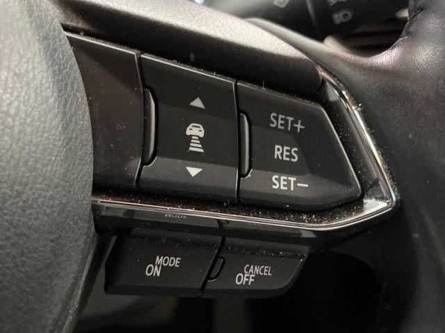 Mazda CX-8 2019-01 10147-4