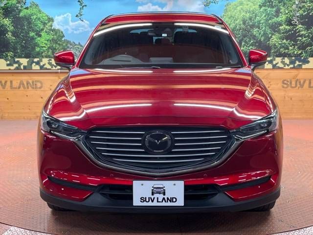 Mazda CX-8 2019-01 10147-17