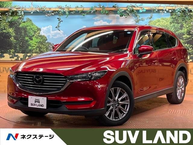 Mazda CX-8 2019-01 10147-0
