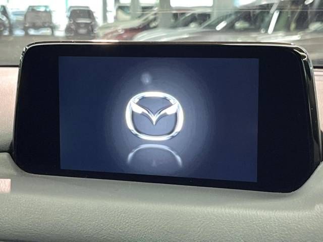 Mazda CX-8 2019-01 10147-2