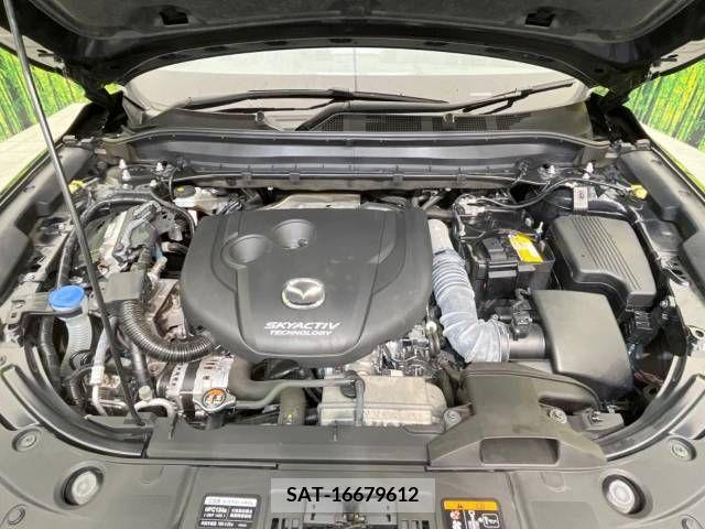 Mazda CX-8 2019-08 266235-19