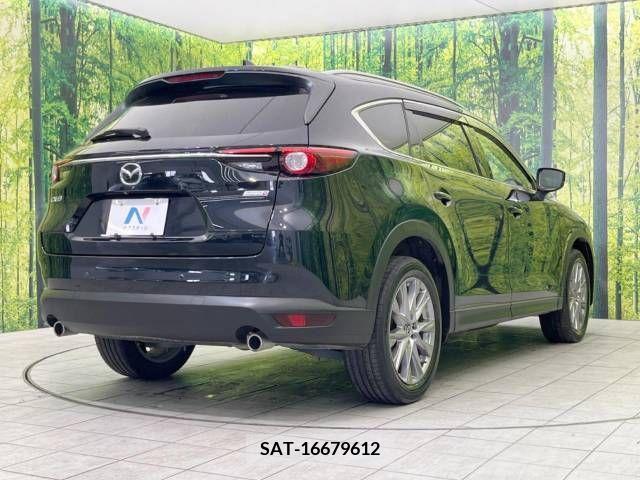 Mazda CX-8 2019-08 266235-18