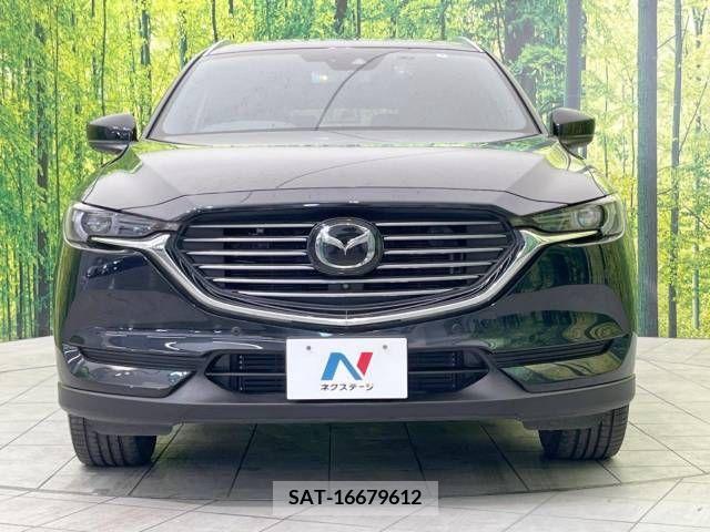 Mazda CX-8 2019-08 266235-15