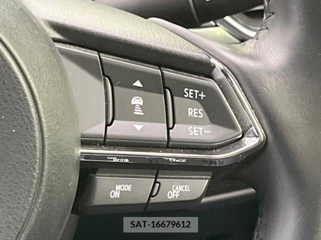 Mazda CX-8 2019-08 266235-6