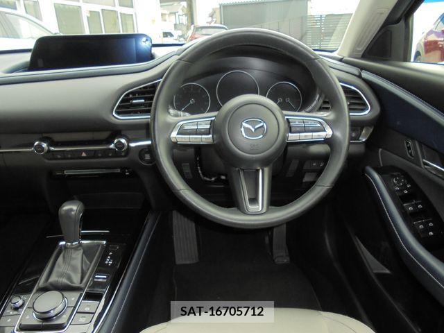 Mazda CX-30 2019-09 266990-17