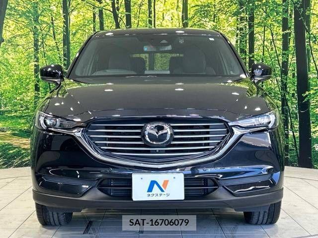 Mazda CX-8 2018-06 308541-15