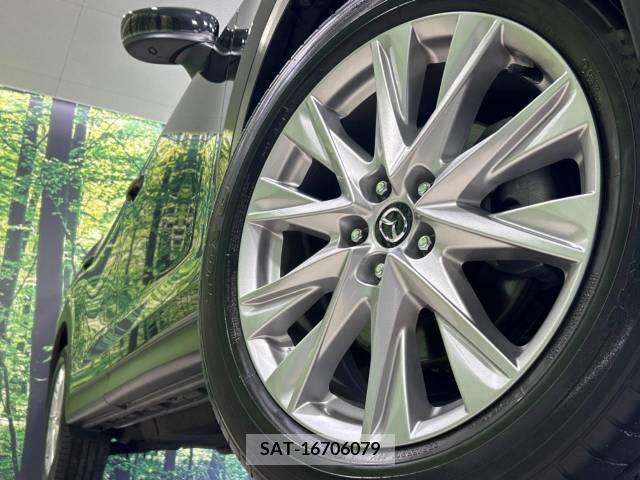 Mazda CX-8 2018-06 308541-14