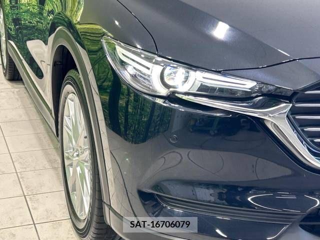 Mazda CX-8 2018-06 308541-13