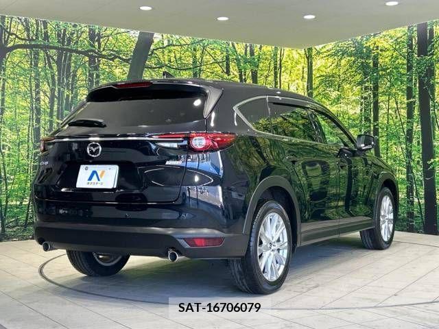 Mazda CX-8 2018-06 308541-18
