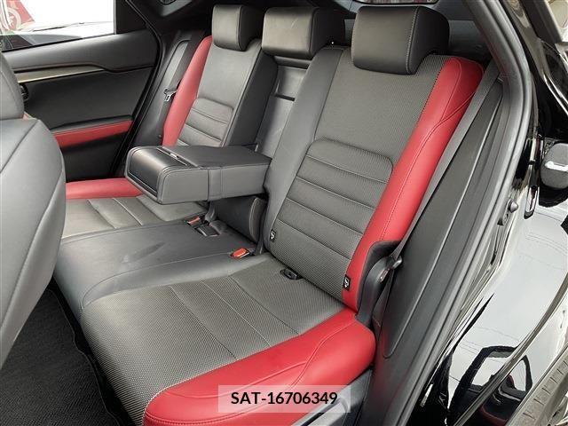 Lexus NX 2018-12 213570-16