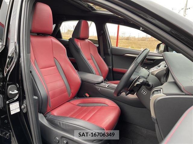 Lexus NX 2018-12 213570-15