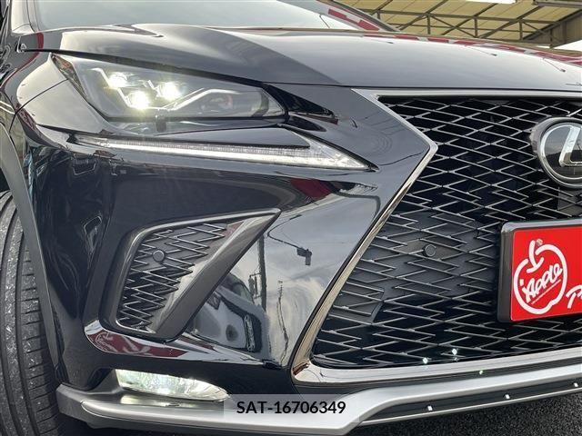 Lexus NX 2018-12 213570-4