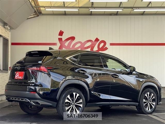 Lexus NX 2018-12 213570-3