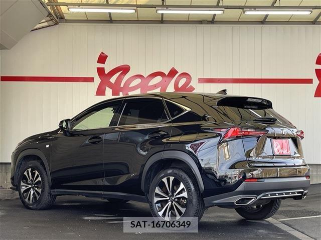 Lexus NX 2018-12 213570-2