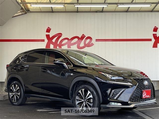 Lexus NX 2018-12 213570-1