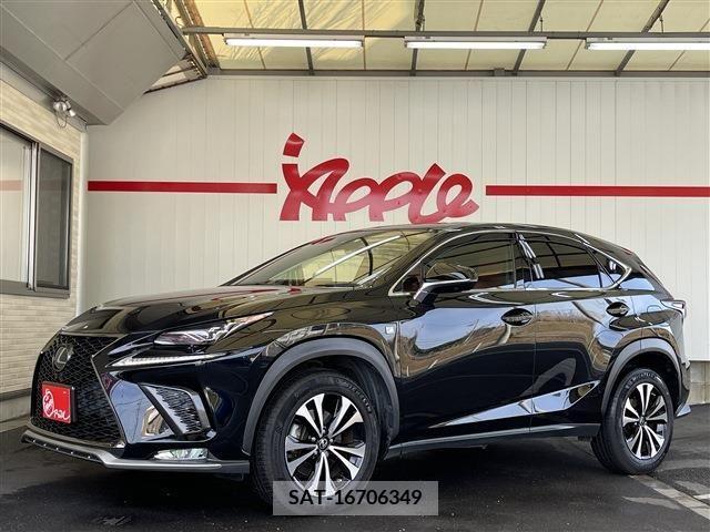 Lexus NX 2018-12 213570-0