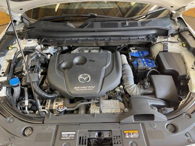 Mazda CX-8 2018-10 13254-19