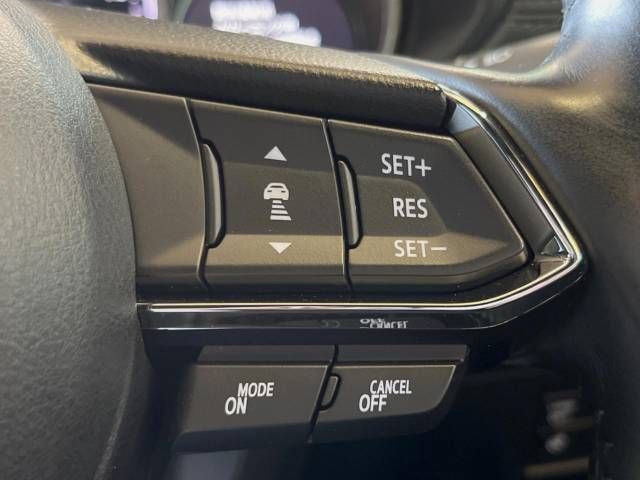 Mazda CX-8 2018-10 13254-5