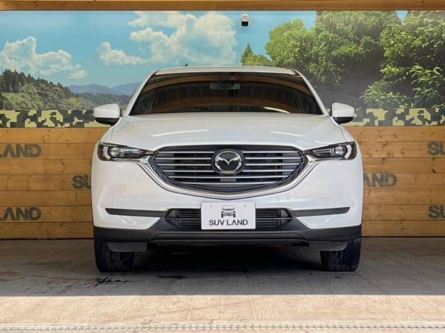 Mazda CX-8 2018-10 13254-15