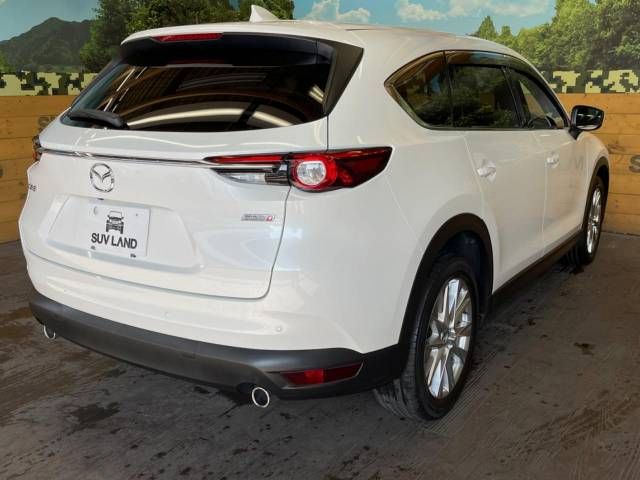 Mazda CX-8 2018-10 13254-18