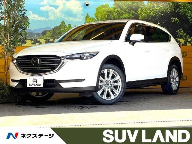 Mazda CX-8 2018-10 13254-0