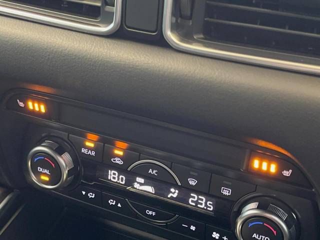 Mazda CX-8 2018-10 13254-7