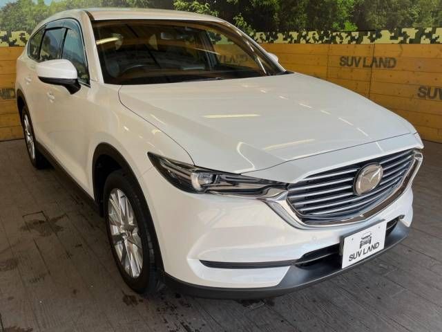 Mazda CX-8 2018-10 13254-17