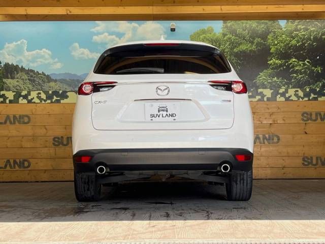 Mazda CX-8 2018-10 13254-16