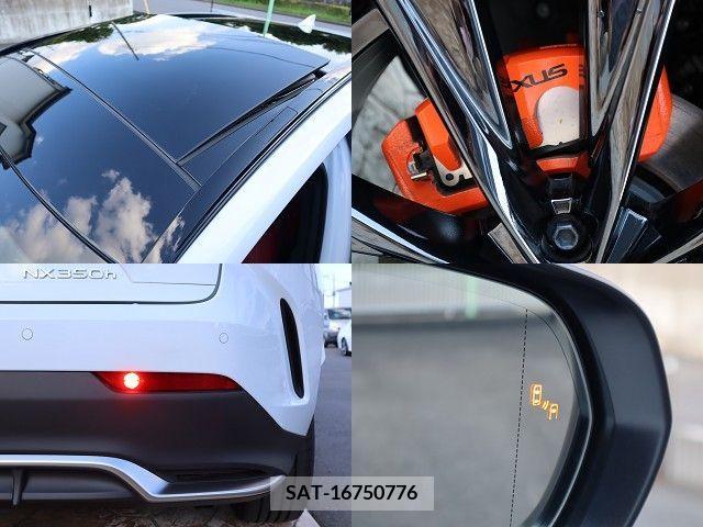 Lexus NX 2023-11 326605-27