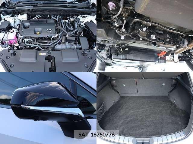 Lexus NX 2023-11 326605-26