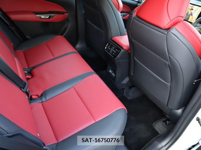 Lexus NX 2023-11 326605-10